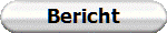 Bericht