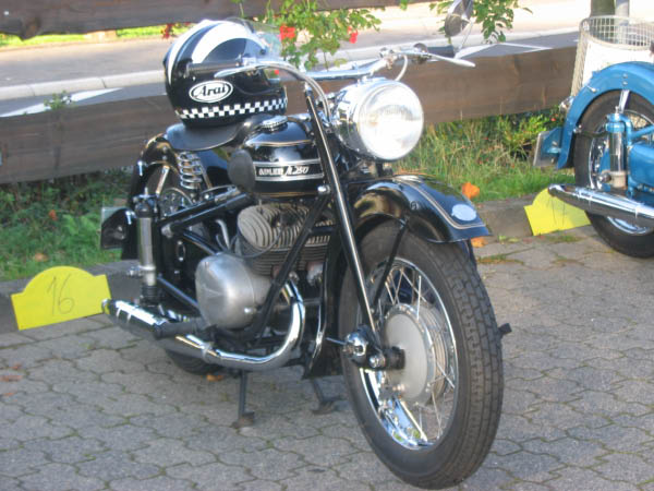 Vet06006