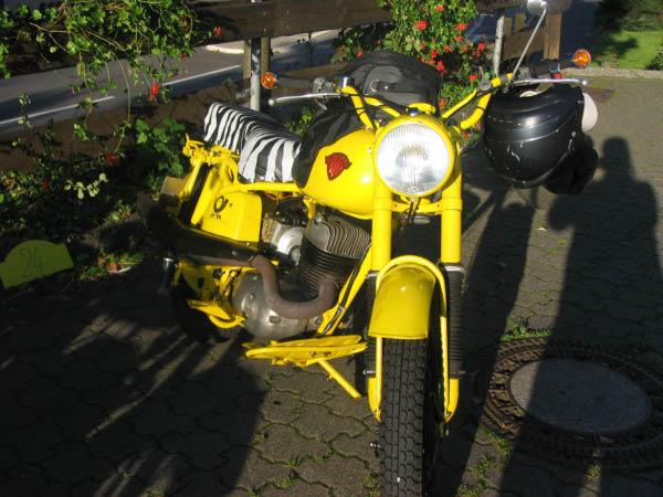 Vet06011