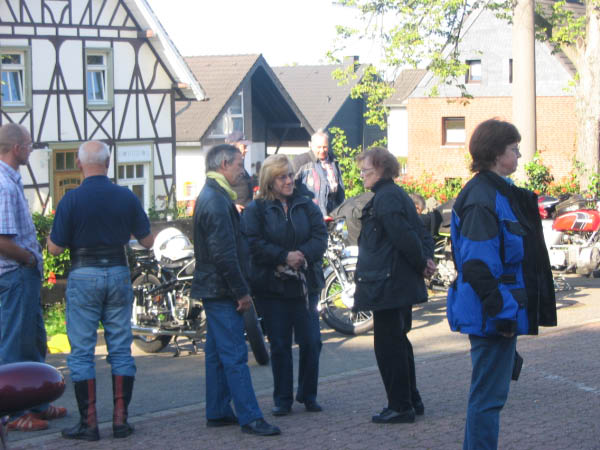 Vet06022