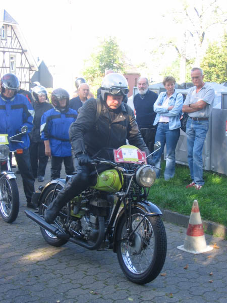 Vet06037