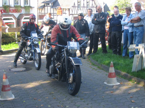 Vet06066