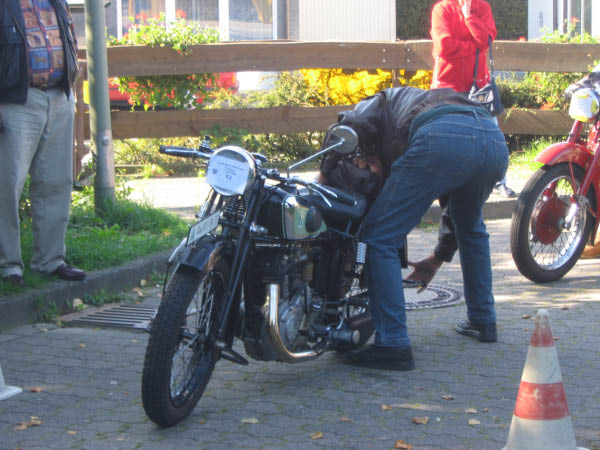 Vet06076