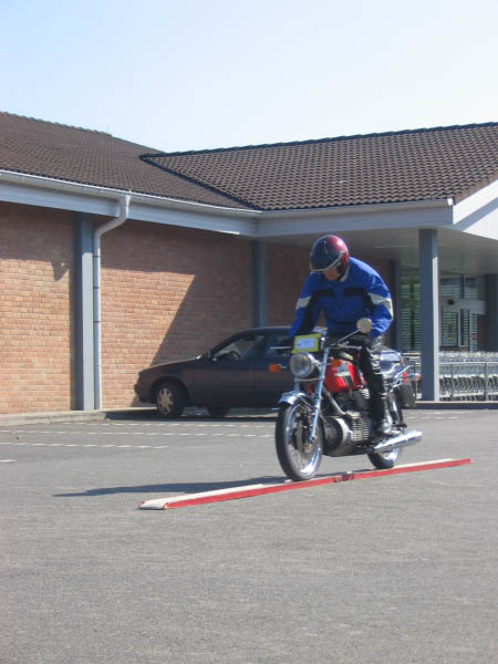 Vet06084