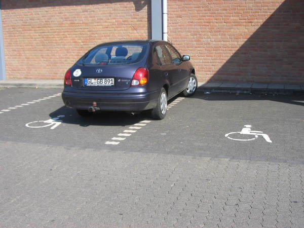 Vet06086