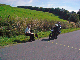 P1000569_bearbeitet-1