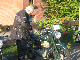 Vet06008