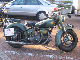 Vet06013
