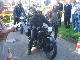 Vet06031