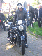 Vet06034