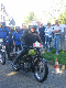 Vet06037