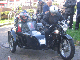 Vet06041