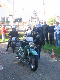 Vet06048