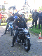 Vet06050