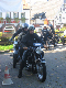 Vet06056