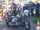 Vet06062