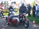 Vet06063