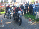 Vet06066