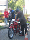 Vet06070