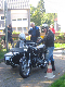 Vet06071