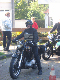 Vet06073