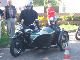 Vet06074