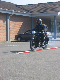 Vet06081