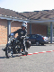 Vet06082