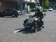 Vet06089