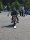 Vet06091