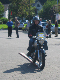Vet06095