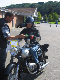 Vet06096