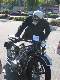 Vet06097