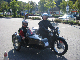 Vet06099