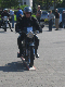 Vet06100