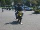 Vet06103